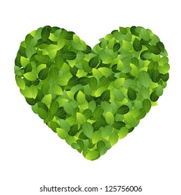 Green eco friendly label from green leaves. Vector illustration.