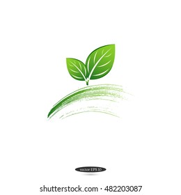 Green eco isolated leaf on a white background. Logo. Vector element for design.