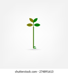 green eco key icon
