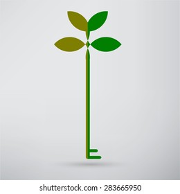 green eco key icon