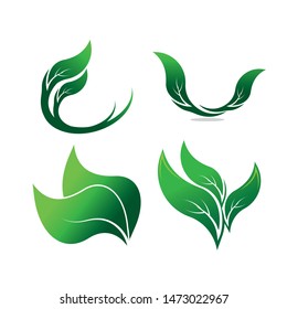 Green eco labels concept with leaves, vector illustration
