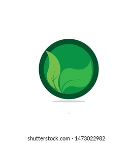 Green eco labels concept with leaves, vector illustration
