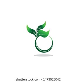 Green eco labels concept with leaves, vector illustration
