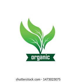 Green eco labels concept with leaves, vector illustration
