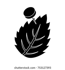 green eco leaf icon