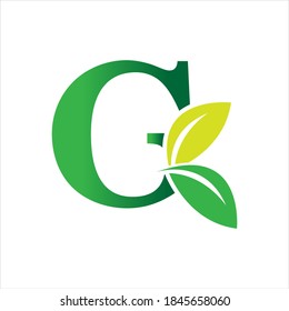 carta ecológica verde letra G modelo de diseño de ilustración de logotipo