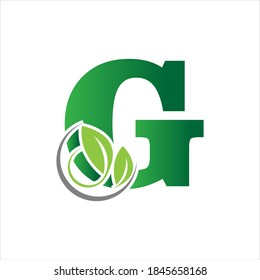 green eco leaf letter G logo illustration design template