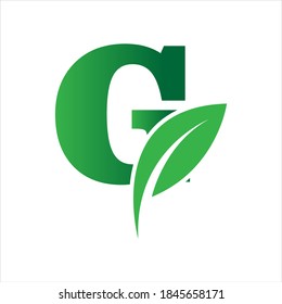 green eco leaf letter G logo illustration design template