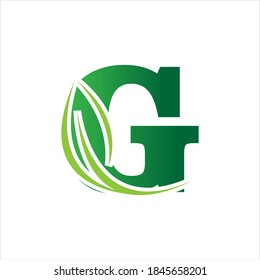 carta ecológica verde letra G modelo de diseño de ilustración de logotipo