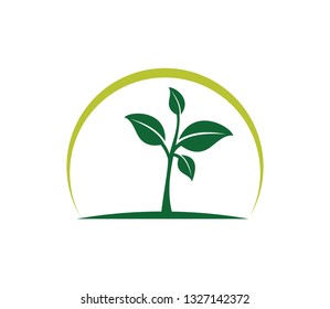 Green eco leaf logo element symbol, vector template,