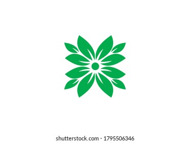 green eco leaf vector design