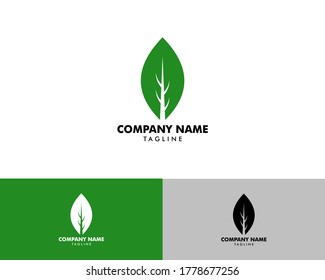Green Eco Leaf Vector Logo Icon Design Template illustration