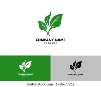Green Eco Leaf Vector Logo Icon Design Template illustration