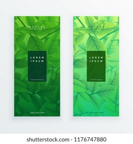 green eco leaves banner set