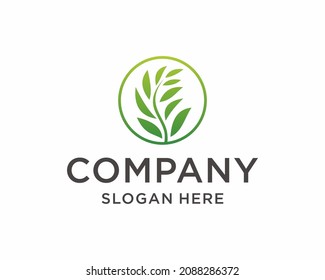 Green Eco Leaves Logo design vector template. Natural Organic cosmetics spa medicine Logotype concept icon