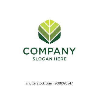 Green Eco Leaves Logo design vector template. Natural Organic cosmetics spa medicine Logotype concept icon