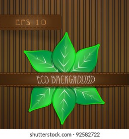 Green eco leaves on grunge background