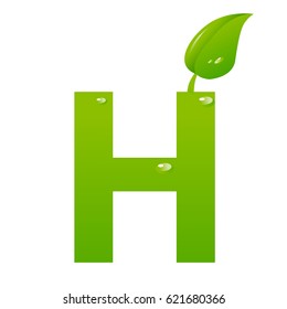 Green eco letter H vector illiustration