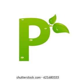 Green eco letter P vector illiustration