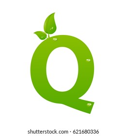 Green eco letter Q vector illiustration