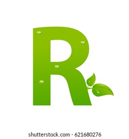 Green eco letter R vector illiustration