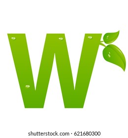 Green eco letter W vector illiustration