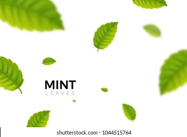 Green eco mint leaf background. Ecology mint pattern design plant illustration.