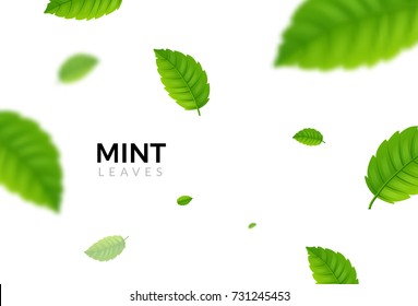 Green eco mint leaf background. Ecology mint pattern design plant illustration.