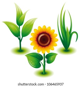 Green Eco Set with Green Grass, Sunflower, Sprout,Vector Illustration