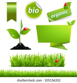 Green Eco Set With Leaf And Ladybug, Isolated On White Background, Vector Illustration