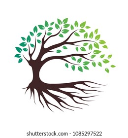 green eco tree vector icon, bio logo, garden sign, forest symbol