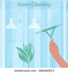 Green ecological cleaning in the room - gloved hand with scraper will wash the window - vector. Eco natural cleaning products. Zero waste lifestyle.