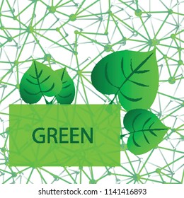 Green Ecological Frame and Background. Modern abstract geometric design and fresh leaves. Eco-friendly vegetarian concept. Vector illustration eps10.