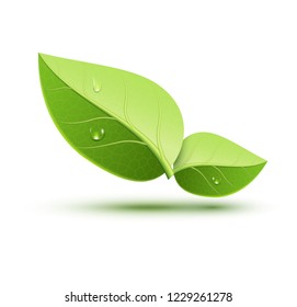 Green ecology concept icon leaf. Green leaf plant nature organic element. Spring symbol illustration.