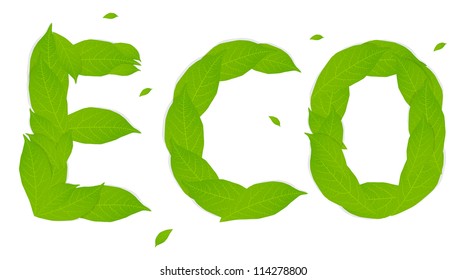 Green ecology leaf vector background