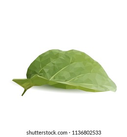 Green eggplant leaf. Vector illustration. Vegetables ingredients in triangulation technique. Eggplants low poly.