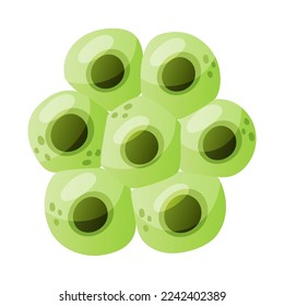 Green Eggs of Frog or Frogspawn Cluster Vector Illustration