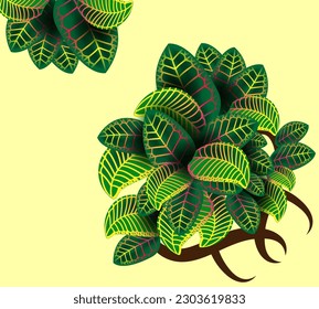 Green Element Leaf Vector plant for auspicious