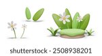 Green empty lawn with flowers, leaves, grass. Nice scene for eco goods, organic concepts