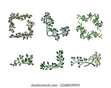 Green Entangled Branches and Twigs as Decorative Element Vector Set