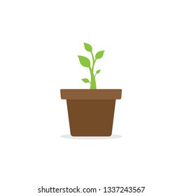 Green environment concept, plant, pot, flat design vector illustration