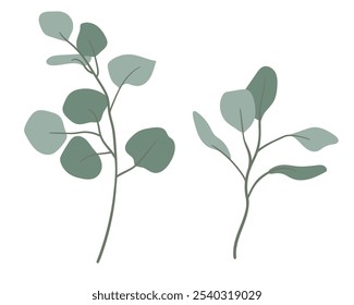 Green eucalyptus branches. Vector illustration of branches in flat minimalistic style. Clipart for invitations, weddings, cards, banners, websites.