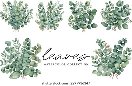 Green eucalyptus leaf with flowers vector watercolor on white background, watercolor leaves collection
