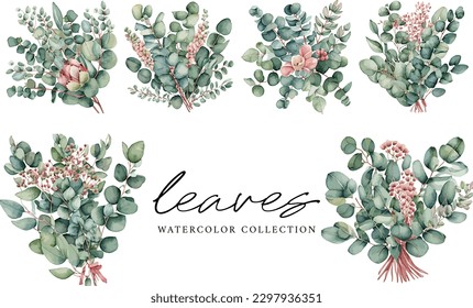 Green eucalyptus leaf with flowers vector watercolor on white background, watercolor leaves collection
