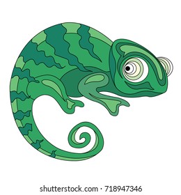 Green exotic chameleon