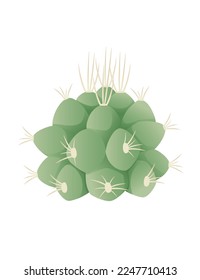 Green exotic desert cactus with thorns decorative plant vector illustration isolated on white background