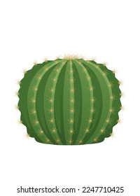 Green exotic desert cactus with thorns decorative plant vector illustration isolated on white background
