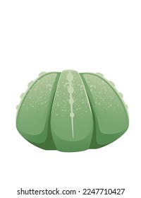 Green exotic desert cactus with thorns decorative plant vector illustration isolated on white background