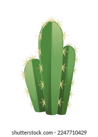 Green exotic desert cactus with thorns decorative plant vector illustration isolated on white background