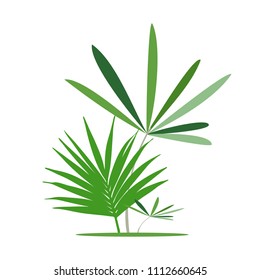 Green exotic leaves, banana leaf. Vector illustration.